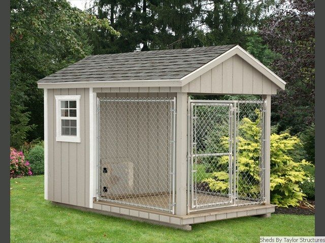Dog2