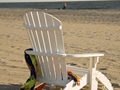 set-fanbackonbeach